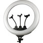 LED-rõngaslamp, Ø 36 cm, 160 cm hind ja info | Fotovalgustuse seadmed | kaup24.ee