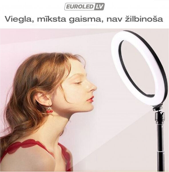 LED-rõngaslamp koos puldiga, Ø 26 cm, 160 cm цена и информация | Fotovalgustuse seadmed | kaup24.ee