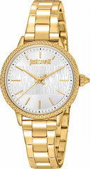 Мужские часы Just Cavalli JC1L259M0055 цена и информация | Мужские часы | kaup24.ee