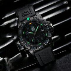 Luminox Sea Lion CARBONOX™ X2.2072 X2.2072 цена и информация | Мужские часы | kaup24.ee