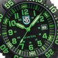 Käekell meestele Luminox X2.2067 hind ja info | Meeste käekellad | kaup24.ee