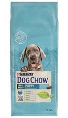 Kuivtoit kutsikatele Purina Dog Chow kalkuniga, 14 kg цена и информация | Сухой корм для собак | kaup24.ee