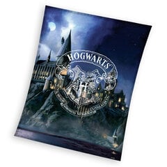 Laste pleed Harry Potter, 130x170cm hind ja info | Voodikatted, pleedid | kaup24.ee