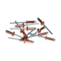 Needid Rapid 5001462 Puur Ø 4 x 10 mm Vask Alumiinium (50 tk) hind ja info | Käsitööriistad | kaup24.ee