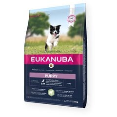 Kuivtoit väikestest ja keskmistest tõugudest koertele Eukanuba Puppy lambaliha ja riisiga, 2,5 kg цена и информация |  Сухой корм для собак | kaup24.ee