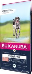 Kuivtoit suurtest tõugudest koertele Eukanuba Senior kalaga, 12 kg цена и информация | Сухой корм для собак | kaup24.ee