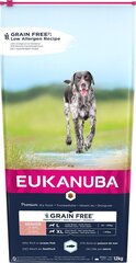 Kuivtoit suurtest tõugudest koertele Eukanuba Senior kalaga, 12 kg hind ja info | Kuivtoit koertele | kaup24.ee