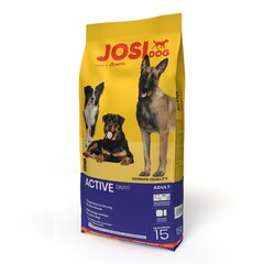 Kuivtoit koertele Josera Josidog Active, 15 kg цена и информация | Сухой корм для собак | kaup24.ee