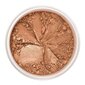 Mineraalne bronzer Lily Lolo Bondi Bronze, 8 g hind ja info | Päikesepuudrid, põsepunad | kaup24.ee