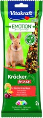 Maius jänestele Vitakraft Emotion Kracker Fruit, 2 tk цена и информация | Корм для птиц | kaup24.ee