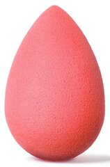 Meigikäsn BeautyBlender Blusher Cheeky, 1 tk. цена и информация | Кисти для макияжа, спонжи | kaup24.ee