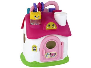 Laste sorteerimismaja, roosa hind ja info | Arendavad mänguasjad | kaup24.ee
