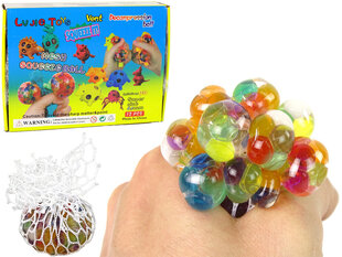 Pallid Lujie Toys, 12 tk hind ja info | Arendavad mänguasjad | kaup24.ee
