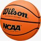 Wilson NCAA NXT Replica korvpall, suurus 7 hind ja info | Korvpallid | kaup24.ee