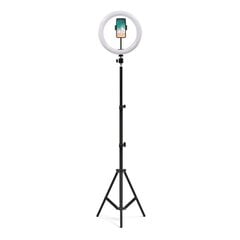 Ring lamp 26cm diameter + tripod 1,6m цена и информация | Осветительное оборудование для фотосъемок | kaup24.ee