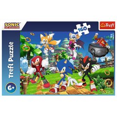 Пазл Trefl Sonic, 160 дет. цена и информация | Пазлы | kaup24.ee