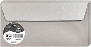 Декоративный конверт Pollen, Clairefontaine, C5 (162х229мм), 120г/м2, глянцевый, серебристый сп. цена и информация | Конверты, открытки | kaup24.ee