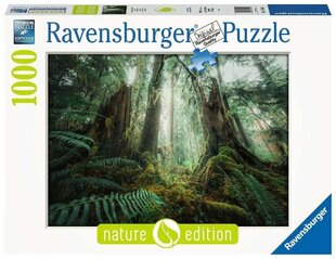 Pusle Ravensburger Forests, 1000 tk. цена и информация | Пазлы | kaup24.ee