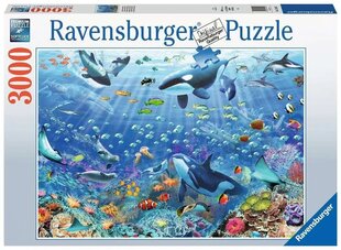 Pusle Ravensburgeri Ookean, 3000 tk. цена и информация | Пазлы | kaup24.ee