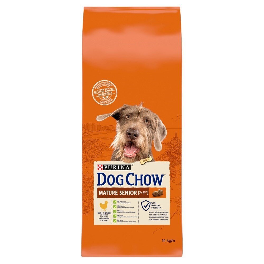Kuivtoit koertele Purina Dog Chow Mature Senior kanaga, 14 kg цена и информация | Kuivtoit koertele | kaup24.ee
