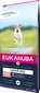 Kuivtoit väikestest ja keskmistest tõugudest koertele Eukanuba Senior kalaga, 12 kg цена и информация | Kuivtoit koertele | kaup24.ee