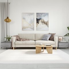 vidaXL kohvilauad 2 tk, hall Sonoma tamm, 50 x 46 x 35 cm, tehispuit hind ja info | Diivanilauad | kaup24.ee