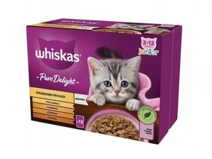 Whiskas для котят с птицей, курицей, индейкой и уткой, 48х85 г цена и информация | Кошачьи консервы | kaup24.ee