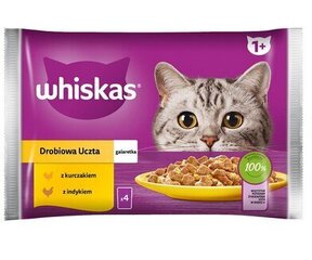 Whiskas täiskasvanud kassidele, kana ja kalkuniga, 52x85 g hind ja info | Konservid kassidele | kaup24.ee