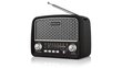 Real-el X-520 hind ja info | Raadiod ja äratuskellad | kaup24.ee