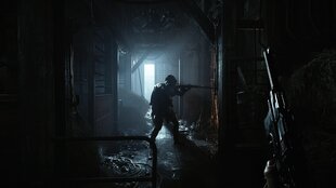 Hunt: Showdown : Limited Bounty Hunter Edition PS4 mäng hind ja info | Arvutimängud, konsoolimängud | kaup24.ee