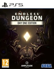 Компьютерная игра Endless Dungeon (Day One Edition) для Xbox Series X / Xbox One цена и информация | Компьютерные игры | kaup24.ee