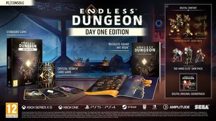 Endless Dungeon (Day One Edition) цена и информация | Компьютерные игры | kaup24.ee