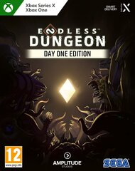 Endless Dungeon (Day One Edition) цена и информация | Компьютерные игры | kaup24.ee