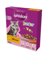 Whiskas kanaga, noortele kassidele, 5x800 g цена и информация | Сухой корм для кошек | kaup24.ee