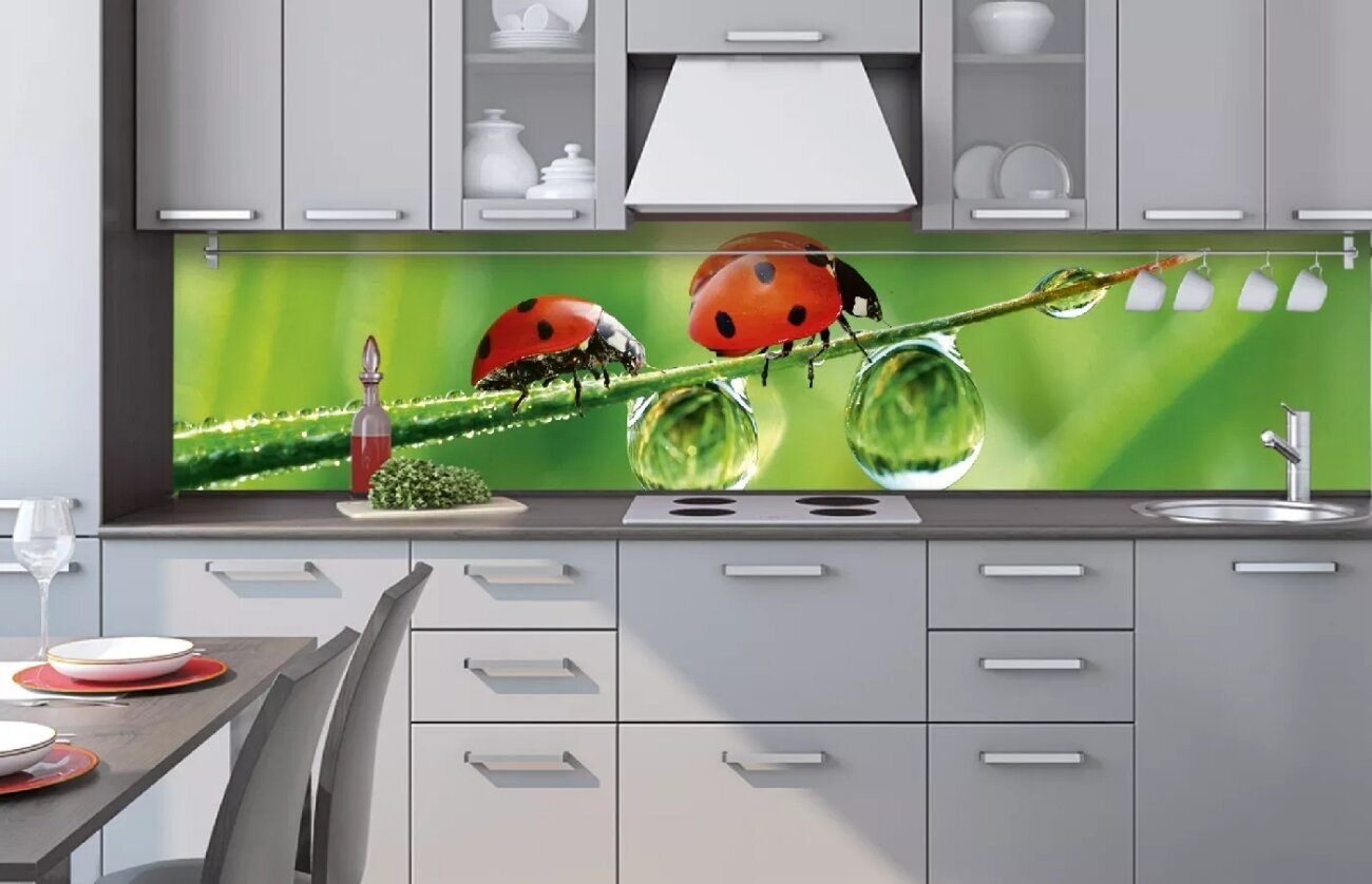 Isekleepuvad fototapeedid lamineerimisega - Ladybird, 260x60 cm цена и информация | Fototapeedid | kaup24.ee