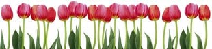 Самоклеящиеся фотообои (с ламинацией) - Красные тюльпаны, 260х60 см цена и информация | Фотообои | kaup24.ee