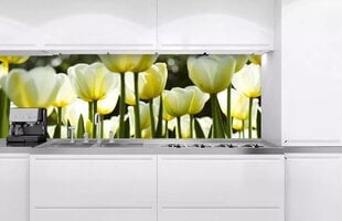 Самоклеящиеся фотообои (с ламинацией) - Белые тюльпаны, 180x60 cm цена и информация | Фотообои | kaup24.ee