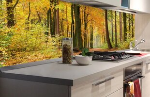 Самоклеящиеся фотообои (с ламинацией) - Осенний лес, 180x60 cm цена и информация | Фотообои | kaup24.ee