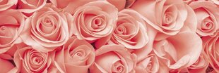 Самоклеящиеся фотообои (с ламинацией) - Розы, 180x60 cm цена и информация | Фотообои | kaup24.ee