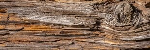 Самоклеящиеся фотообои (с ламинацией) - Деревянная структура, 180x60 cm цена и информация | Фотообои | kaup24.ee