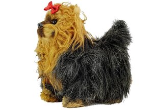 Interaktiivne koer Yorkshire terjer hind ja info | Pehmed mänguasjad | kaup24.ee