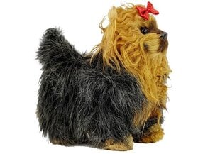 Interaktiivne koer Yorkshire terjer hind ja info | Pehmed mänguasjad | kaup24.ee