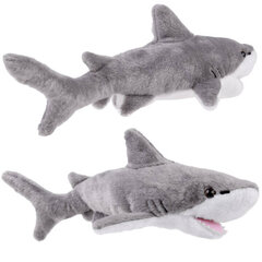 Плюшевая игрушка акула, 36 см цена и информация | Мягкие игрушки | kaup24.ee