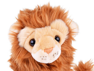 Плюшевая игрушка лев, 20 см цена и информация | Мягкие игрушки | kaup24.ee