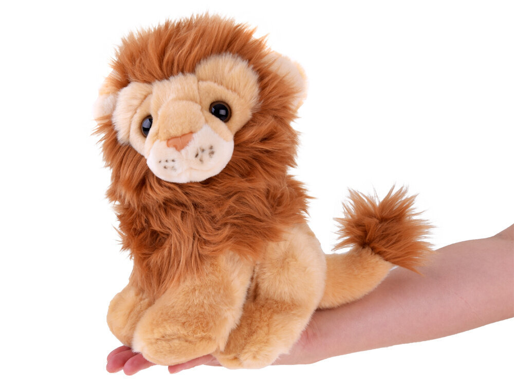 Pehme lõvi, 20cm цена и информация | Pehmed mänguasjad | kaup24.ee