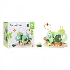 Forest Life hariduslik labürint hind ja info | Imikute mänguasjad | kaup24.ee