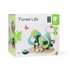 Forest Life hariduslik labürint hind ja info | Imikute mänguasjad | kaup24.ee