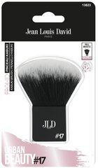 JLD Pro puudripintsel цена и информация | Кисти для макияжа, спонжи | kaup24.ee