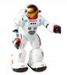 Interaktiivne robot TM Toys Charlie цена и информация | Poiste mänguasjad | kaup24.ee