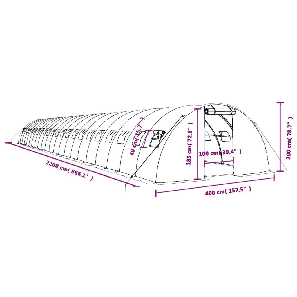 vidaXL kasvuhoone terasraamiga, roheline, 88 m², 22x4x2 m hind ja info | Kasvuhooned | kaup24.ee